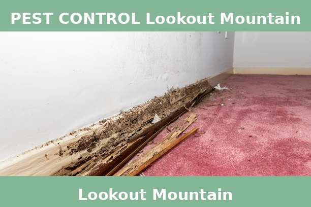 PEST CONTROL Lookout Mountain